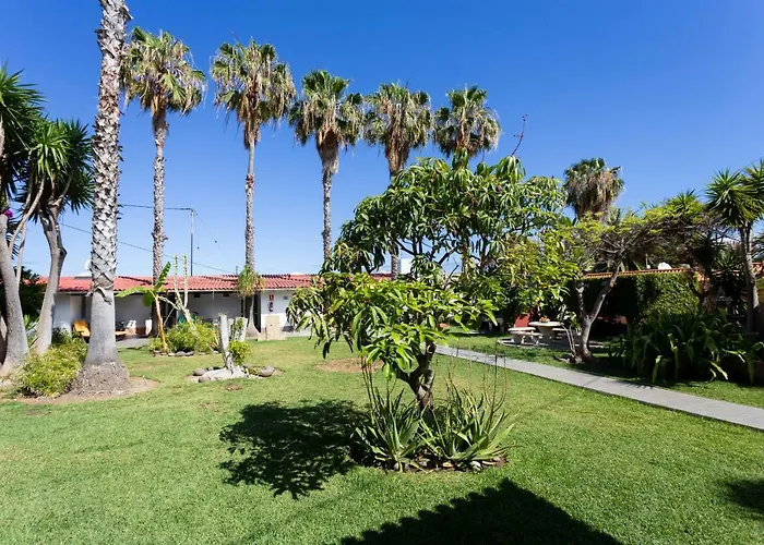 La Gaviota - El Granito Apartman Icod de los Vinos